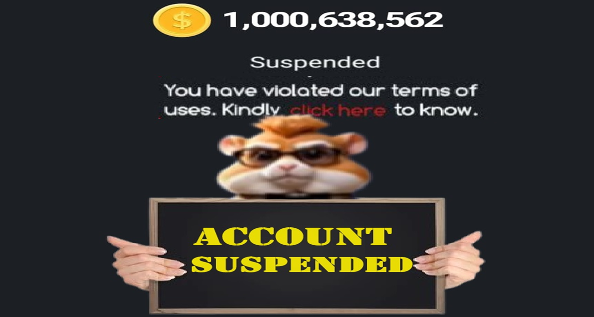 Hamster kombat multiple account banned